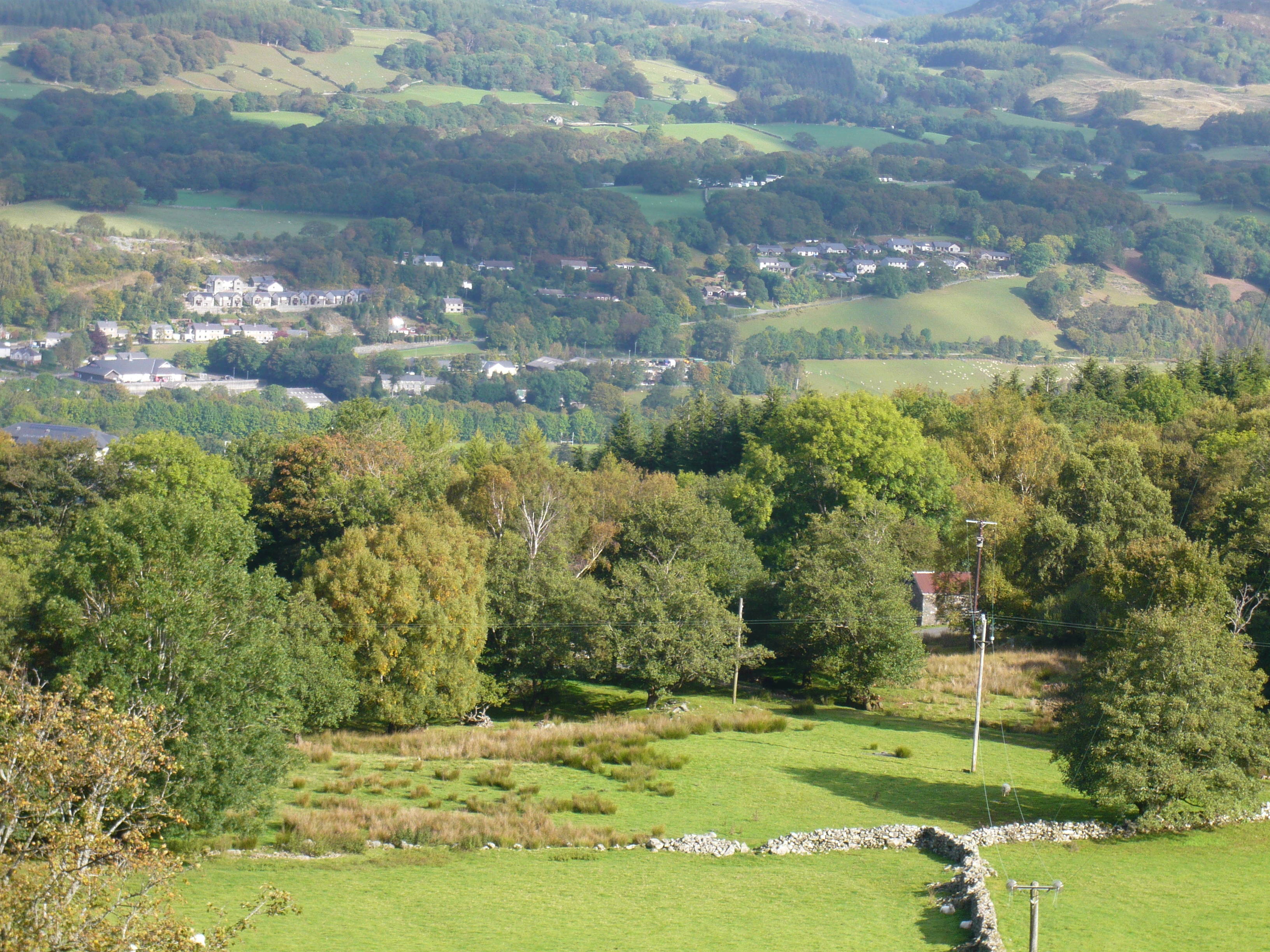 A Little Hike With The Doggies Around Precipice Walk, Dolgellau, Wales